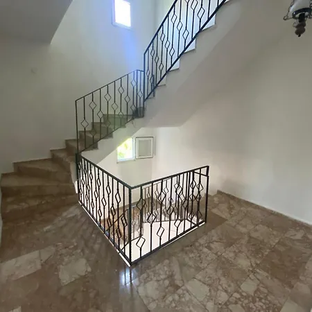 çatal