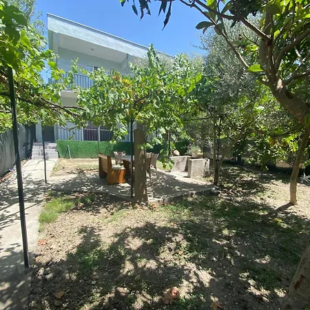 Apartment Catal