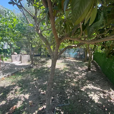 Apartment Catal Kas