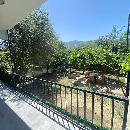 Catal * Kaş