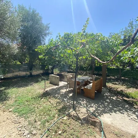 Catal * Kaş